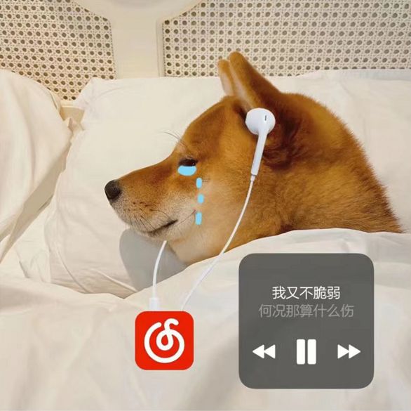 哪个版本的微信双开没有广告